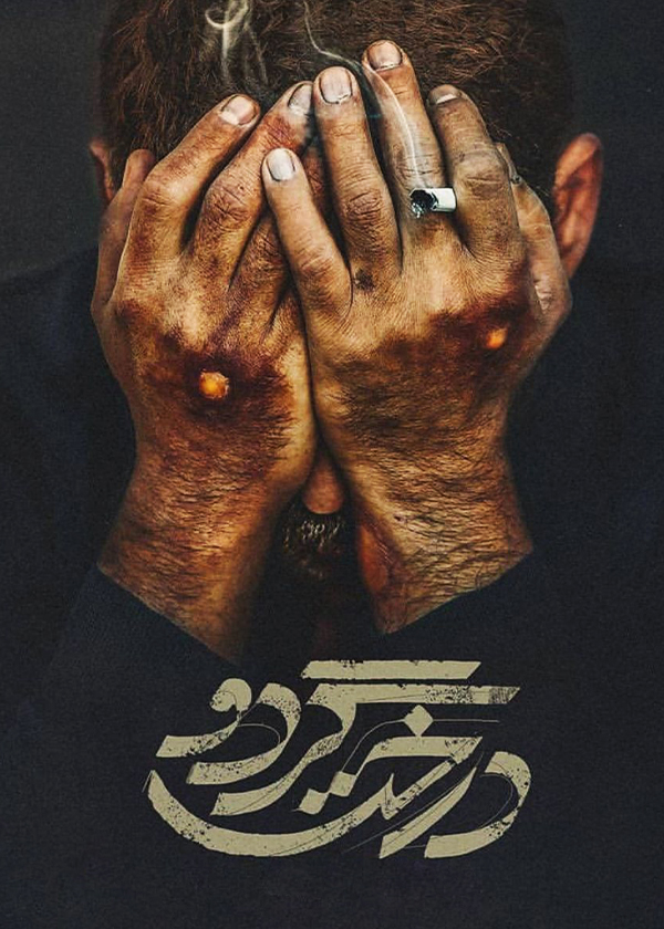 درخت گردو