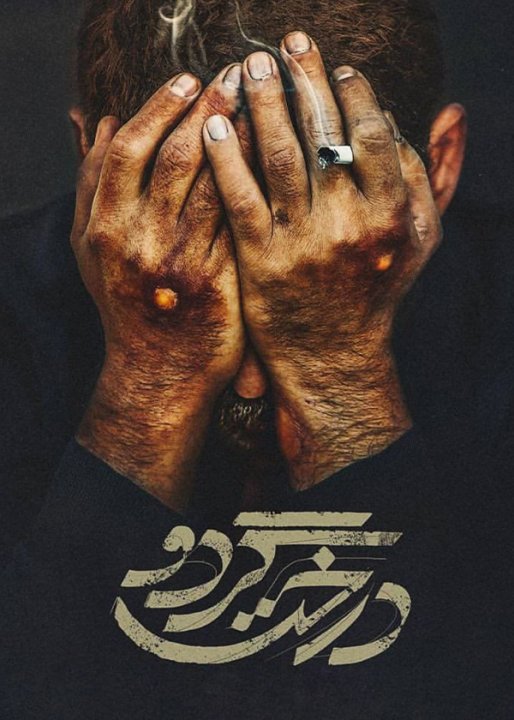 درخت گردو