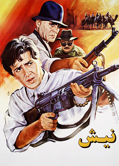 نیش