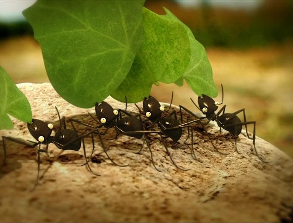 زندگی حشرات - فصل ۱ قسمت ۴۵