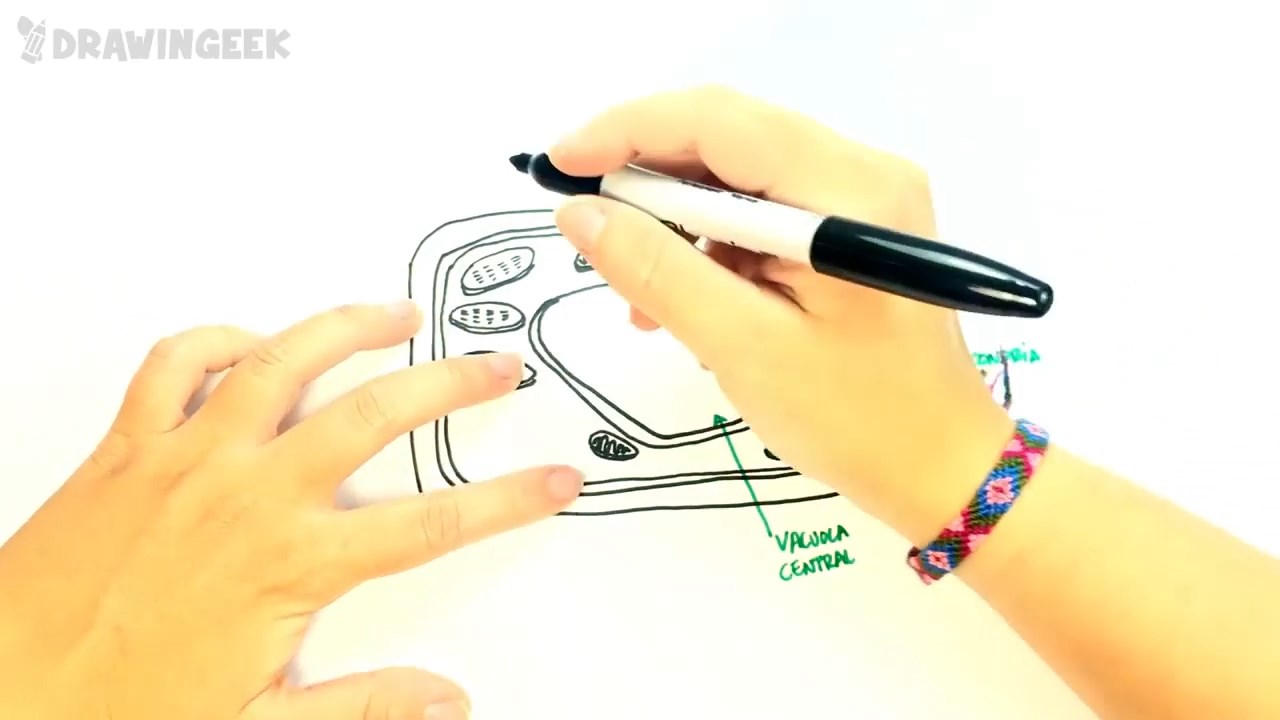 آموزش گام به گام نقاشی - فصل ۸ قسمت ۴۰