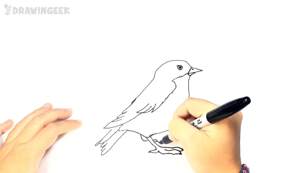 آموزش گام به گام نقاشی - فصل ۶ قسمت ۴