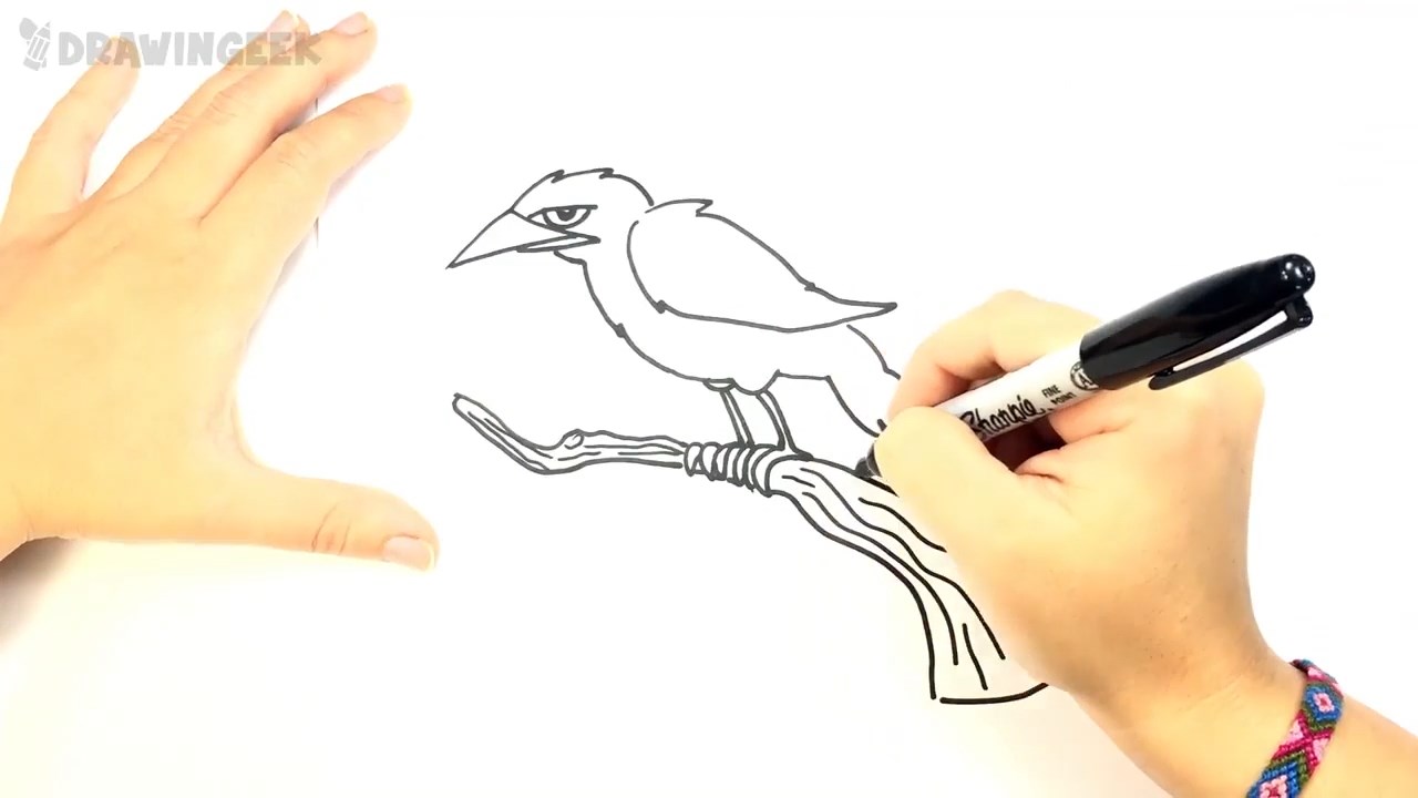 آموزش گام به گام نقاشی - فصل ۶ قسمت ۱۵
