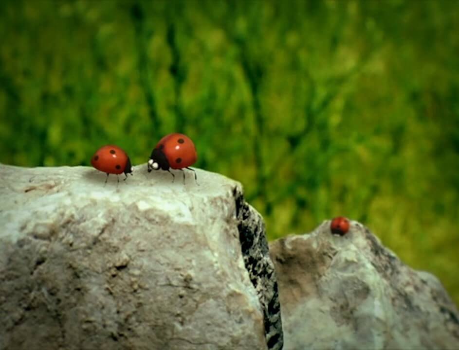 زندگی حشرات - فصل ۱ قسمت ۸