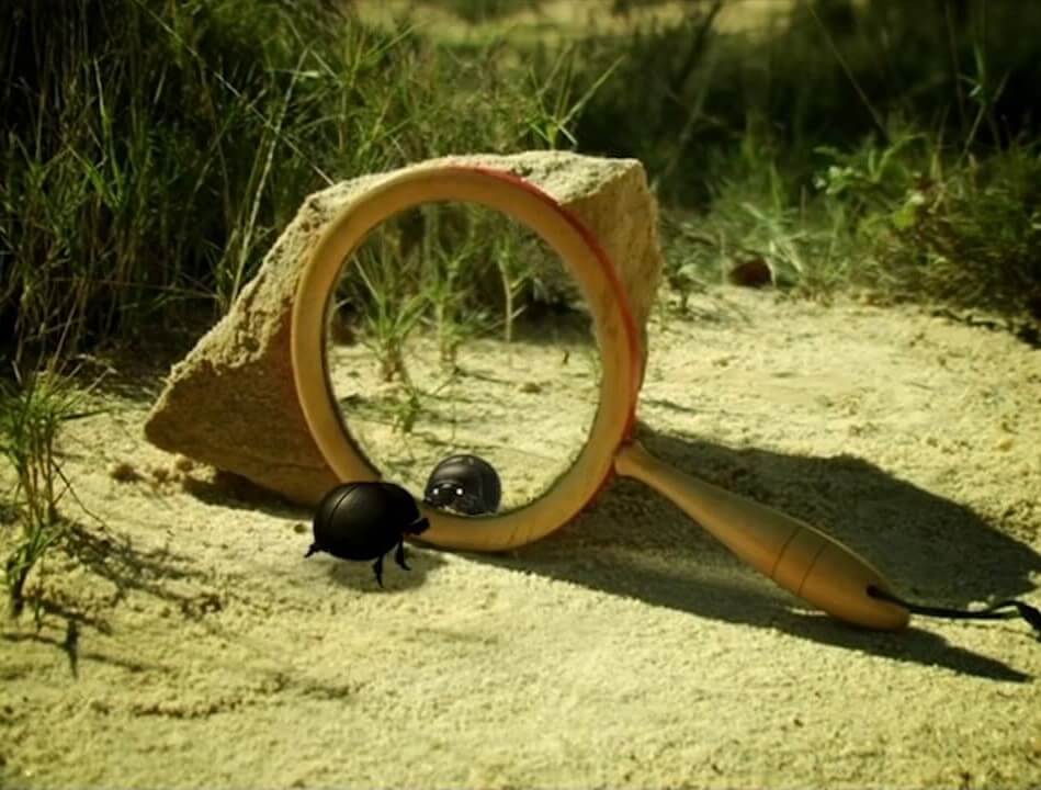 زندگی حشرات - فصل ۱ قسمت ۵۲