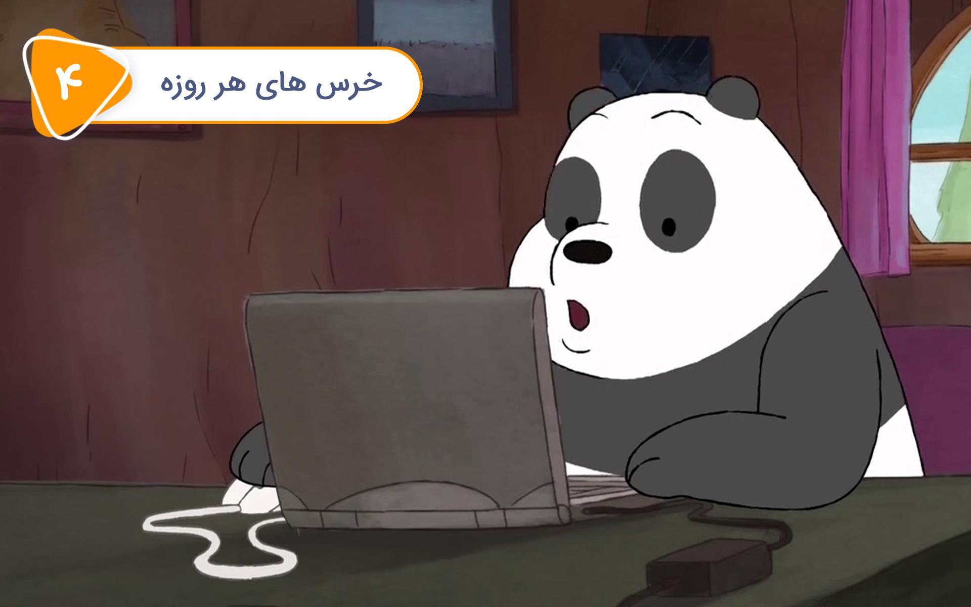 خرس های کله فندقی - قسمت چهارم: خرس های هر روزه