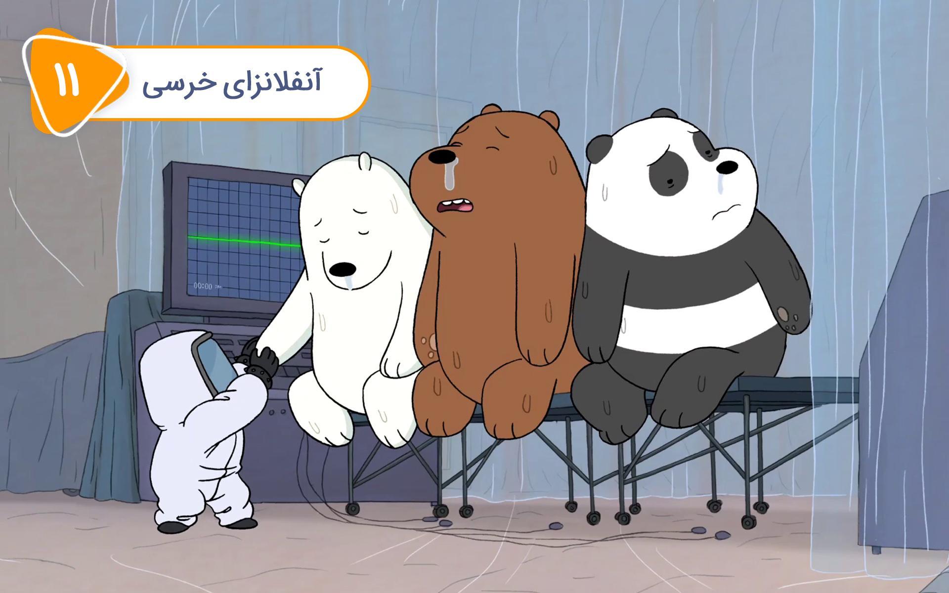 خرس های کله فندقی - قسمت یازدهم: آنفولانزای خرسی