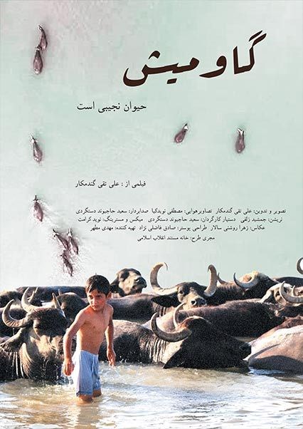 گاومیش حیوان نجیبی است