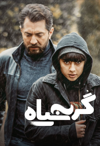 گربه سیاه
