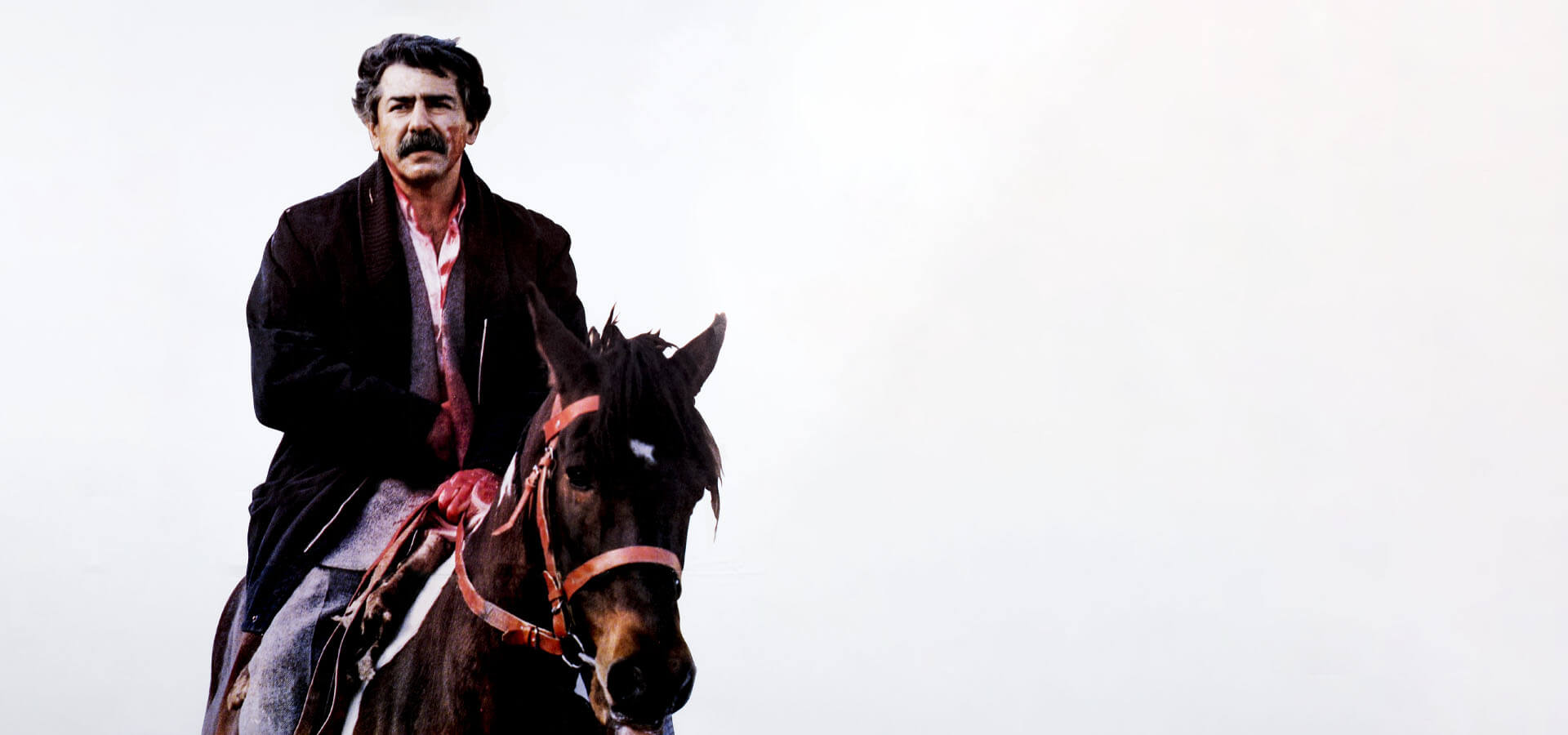 رد پای گرگ