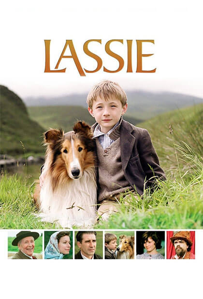 لسی