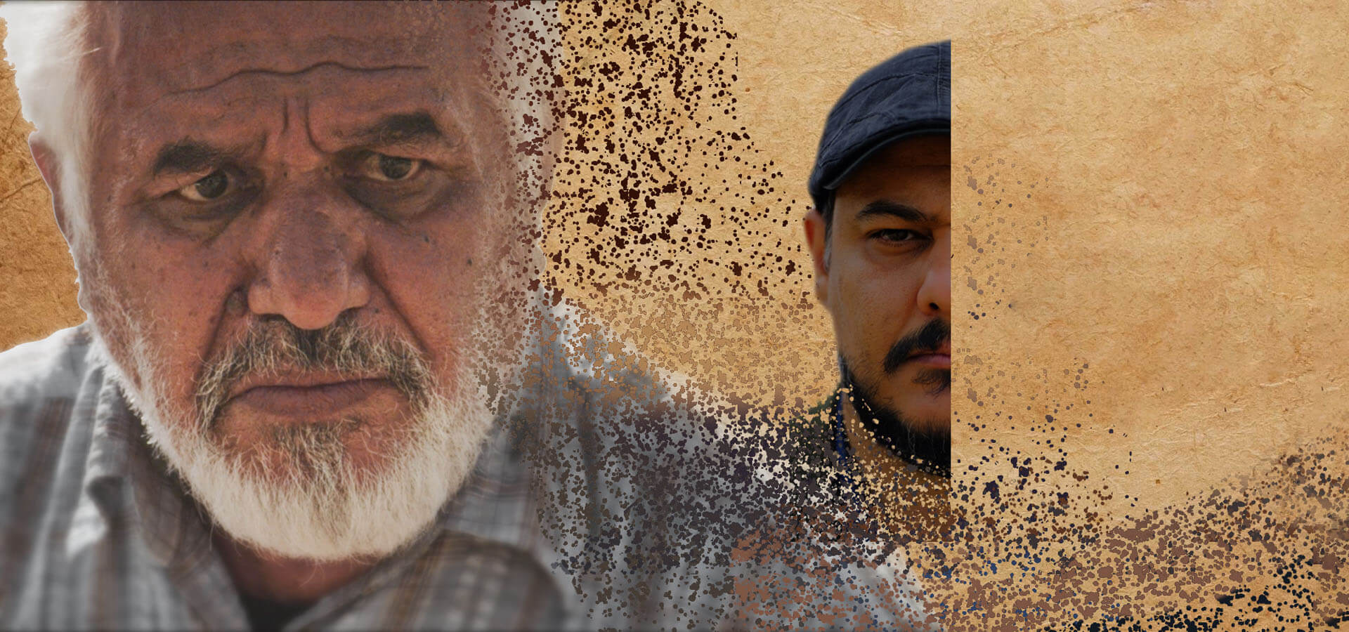 جایی در میان گاوها