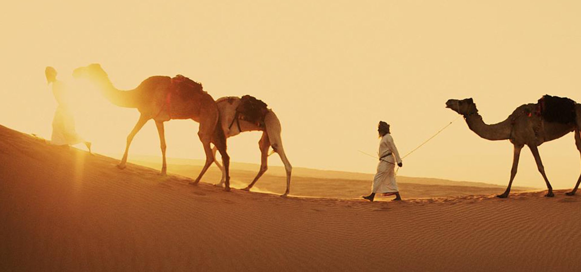 حیات وحش عرب