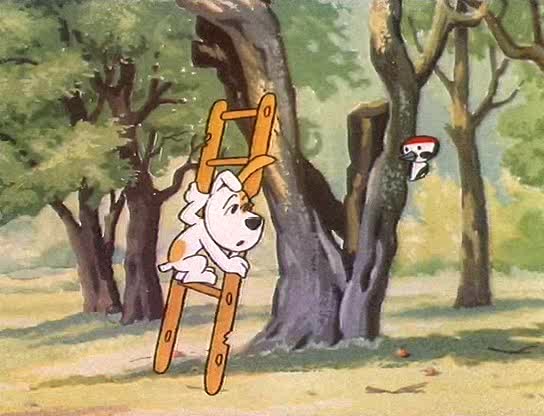 رکسیو - فصل ۱ قسمت ۶۳