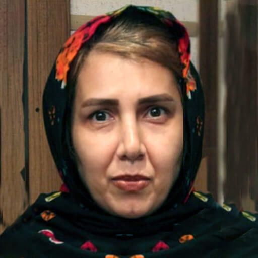مهرخ افضلی