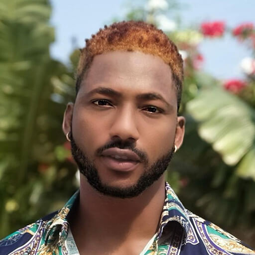 Abayomi Alvin