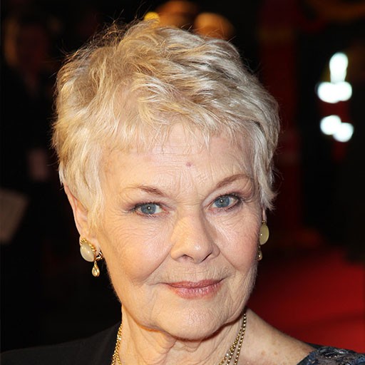 Judi Dench