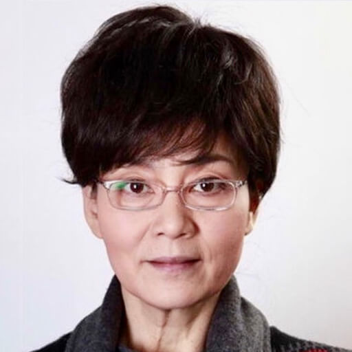 Pan Hong