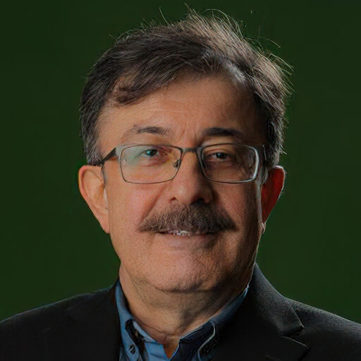 اسماعیل عفیفه
