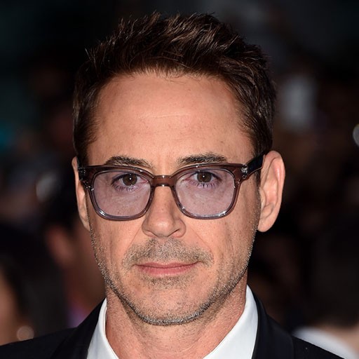 .Robert Downey Jr