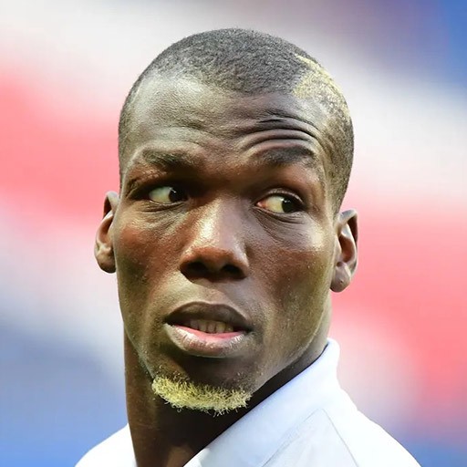 Florentin Pogba