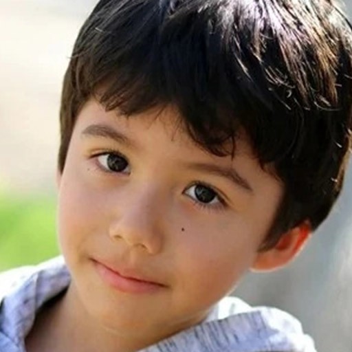 Dylan Alvarado