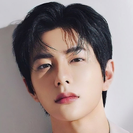 Choi Bo-Min