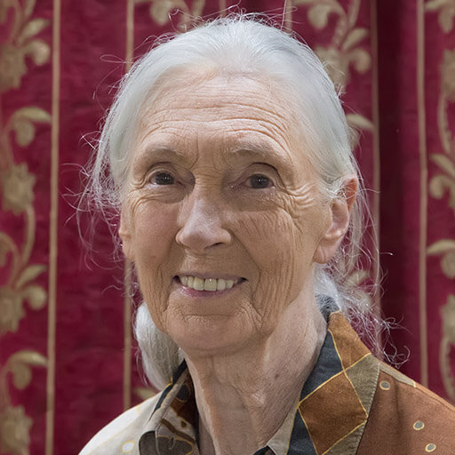 Jane Goodall