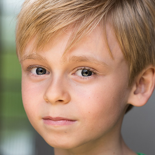 Milo Stein