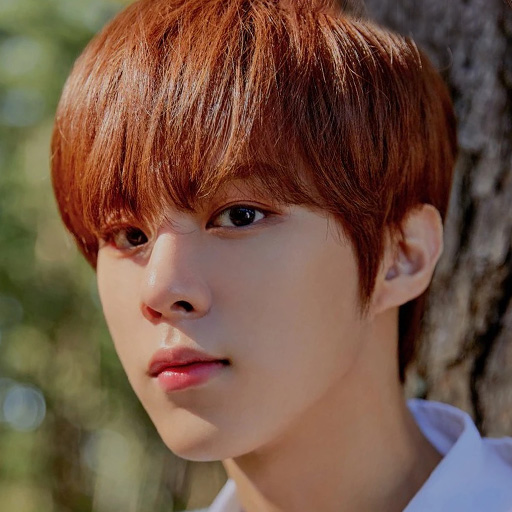 Kim Wooseok
