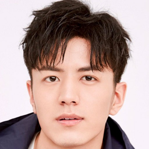 Jiulin Li