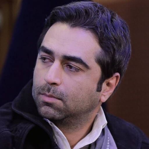 محمدرضا میرزا محمدی