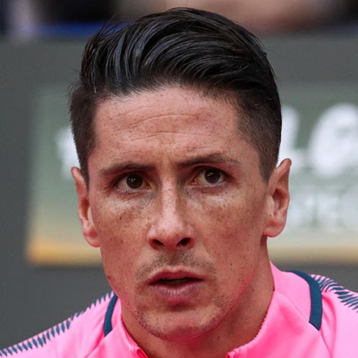 Fernando Torres