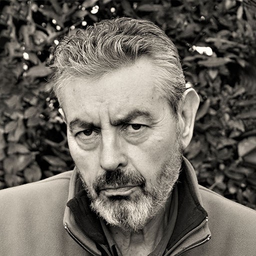 David Brandon