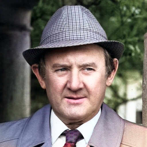 Niall Toibin