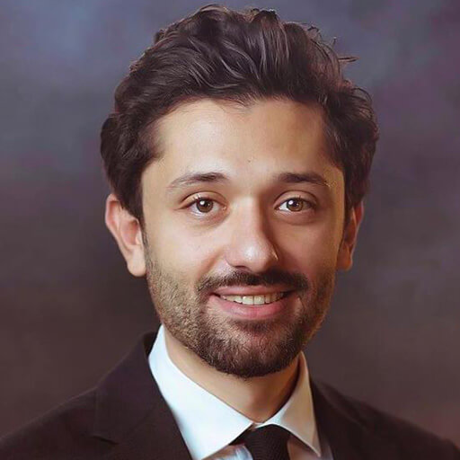 Kareem Mahmoud Abdel Aziz