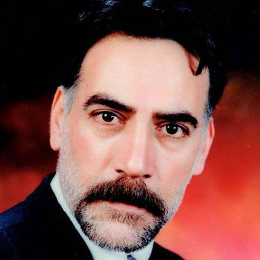 هادی اسلامی