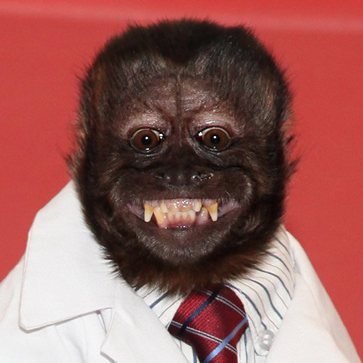 Crystal the Monkey