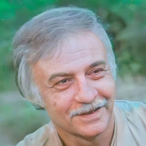 نرسی گرگیا
