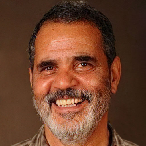 محمدولی احمدلو