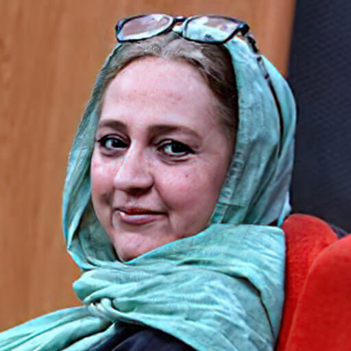 مهناز افضلی