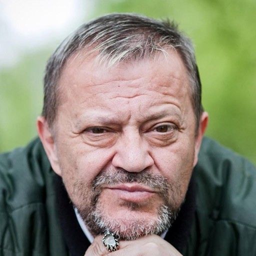 Emir Hadzihafizbegovic