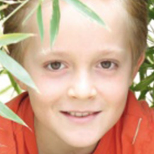 Max Driesch