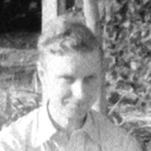 Jan Read