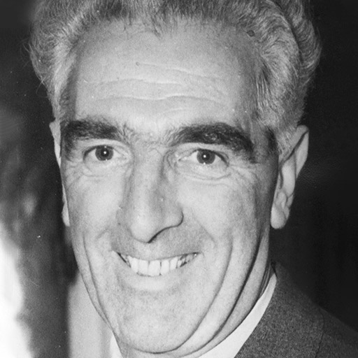 Noel Purcell