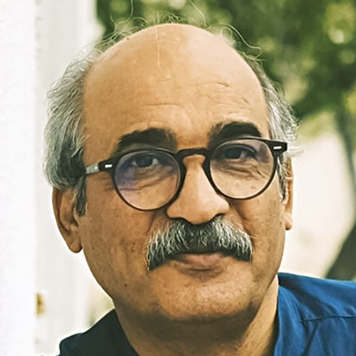 محسن دامادی