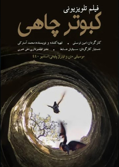کبوتر چاهی