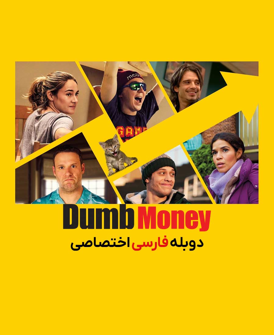 پول احمقانه