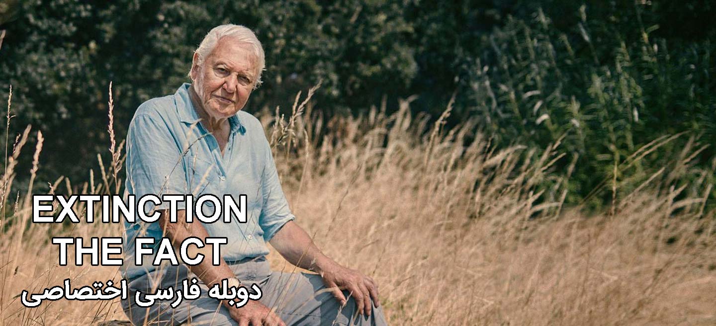 انقراض: حقایق