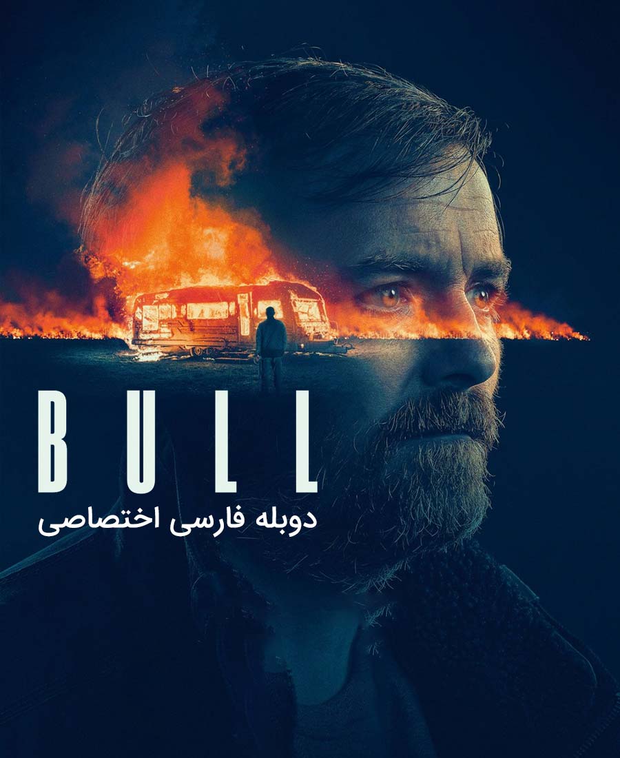 گاو نر